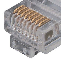 特优型超5类跳线，RJ45/RJ45，灰，1英尺（0.3米）的图片